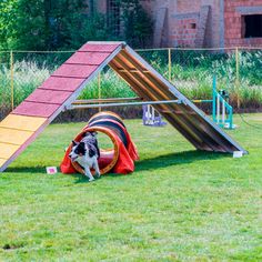 a dog is playing in the grass near a playground structure with a slide on it