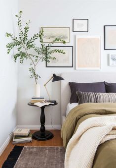 a bed room with a neatly made bed and a plant on the side table next to it