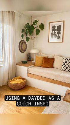 a living room filled with furniture and a potted plant on top of a window sill