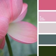 a pink flower with green leaves in the background and some color swatches on it