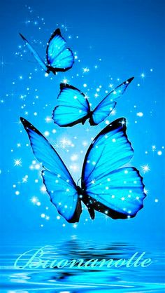 three blue butterflies flying over water with sparkles in the sky behind them and an inscription underneath it