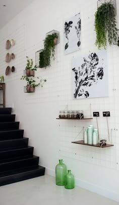 there are many plants hanging on the wall next to some shelves with vases and jars