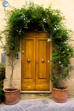 a wooden door surrounded by potted plants