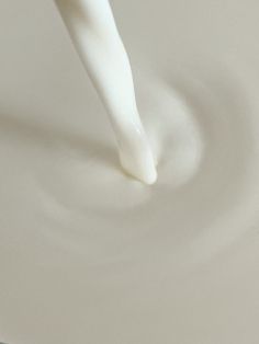 a white bowl filled with milk being poured into it's liquid tube and placed on the surface