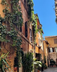 an alley way with many plants growing on the side of it and some buildings in the background