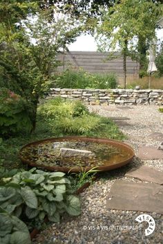 an outdoor garden with stepping stones and water feature in the center, surrounded by greenery