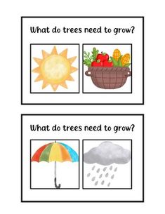 four different pictures with the words what do trees need to grow? and an umbrella