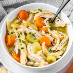 a bowl of chicken noodle soup with carrots and celery