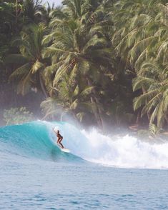 a person riding a surfboard on a wave in front of some palm tree's