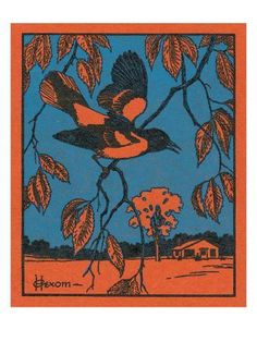 an orange and blue card with a bird on it's back, in the middle of