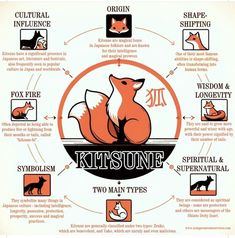 the diagram shows different types of animals and their names in this graphic, there is an orange fox sitting on top of a bowl