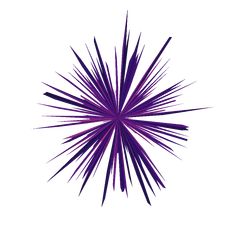 an abstract purple starburst on a white background