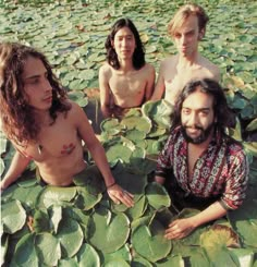 three men are sitting in the water surrounded by green plants and leaves, with one man looking at the camera