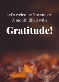 the words, let's welcome november a month filled with gratitude