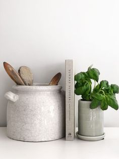 a plant in a pot next to a book and some utensils on a table