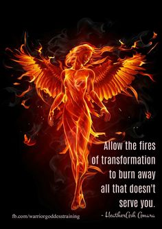 Phoenix Quotes, Mystical Animals, Phoenix Tattoo, Fire Art