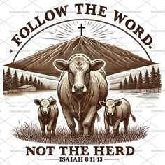 two cows standing in front of a mountain with the words follow the word not the herd