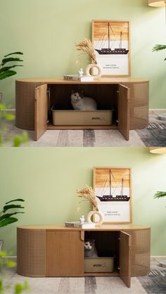 two pictures of a cat sitting in a cabinet next to a potted plant on the floor