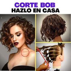 Small Hair, Big Personality: Pixie Bob Power Corte Long Bob, Short Layered Bob, Layered Bob Short, Corte Bob, Short Layers, Short Layered, Short Bob Haircuts, Layered Bob, Curly Bob Hairstyles