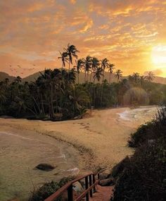 the sun is setting over an ocean with palm trees and stairs leading down to the beach