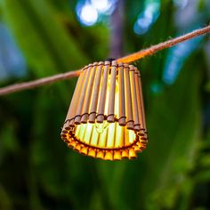 a lamp hanging from a rope in the middle of some plants and trees with green leaves behind it