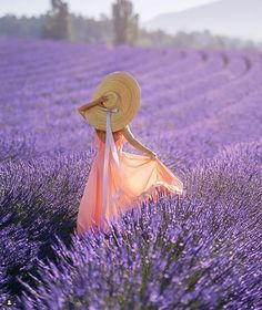 a woman wearing a straw hat walks through a lavender field