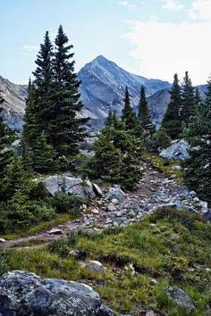 there is a trail going through the mountains with rocks and trees on both sides in the foreground