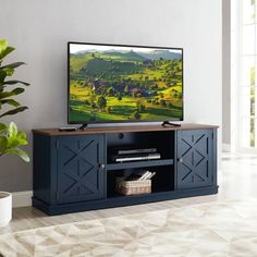 a flat screen tv sitting on top of a wooden entertainment center next to a potted plant