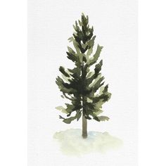 a watercolor painting of a pine tree