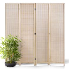 a room divider made out of bamboo with a potted plant next to it