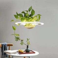 a potted plant is hanging from a ceiling light over a small table with two vases on it