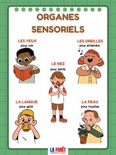 an illustrated poster with different types of children's names and their expressions in french