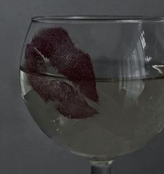 a wine glass filled with water and some sort of animal on the inside of it