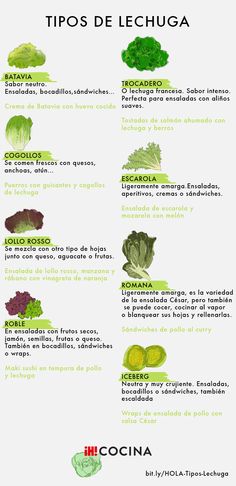 the different types of vegetables in spanish