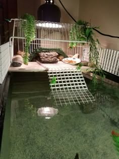 a caged in fish pond with plants and food on the bottom floor, next to a white brick wall