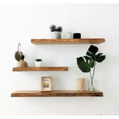 two wooden shelves with plants and pictures on them, one shelf has a potted plant