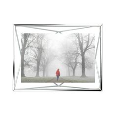 a person standing in the middle of a foggy park with trees on either side