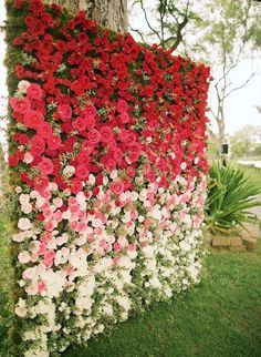 an image of flowers growing on the side of a wall with text that reads collweddings