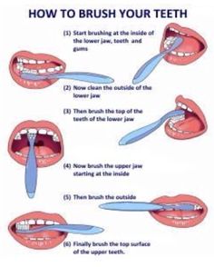 Good to start teaching at a young age Dental Posters, Dental Hygiene School, Dental Fun, Sikat Gigi, Dental Facts, Dental Life, Brush Your Teeth, Teeth Health