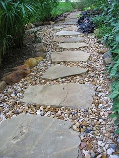 a stone path surrounded by plants and rocks