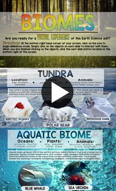 the different types of animals that can be seen in this infographtion page are shown