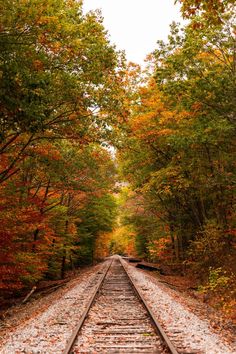 an old railroad track surrounded by trees in the fall