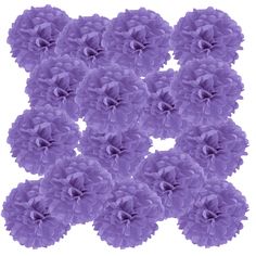 a bunch of purple flowers on a white background