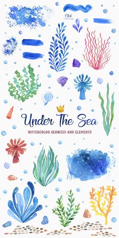 under the sea watercolor drawings and elements