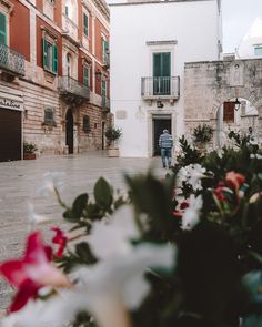 flowers are in the foreground and an old building is in the background with a man walking by