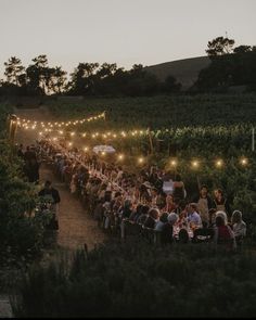 a large group of people sitting at tables in the middle of a field with lights strung over them