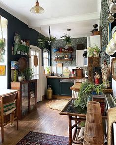 a kitchen filled with lots of plants and furniture