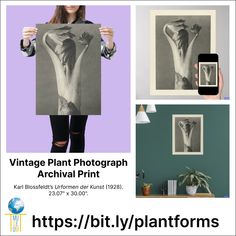 a woman holding up a black and white photo in front of her is an advertisement for the vintage plant photograph archive