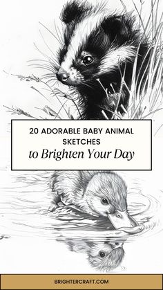 an animal with the title 20 adorable baby animal sketches to brighten your day