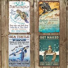 four sea turtle posters are hanging on a wooden wall